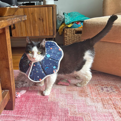 Triceracat Sticker